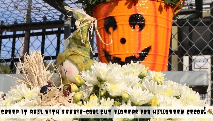 Creep It Real With 8 Eerie-cool Cut Flowers For Halloween Decor! 💐🦇